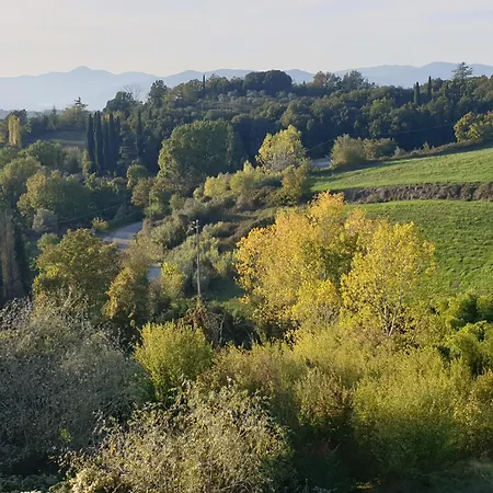 La Codirossa Agnino